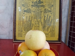 WhatsApp Image 2019-09-15 at 17.20.23